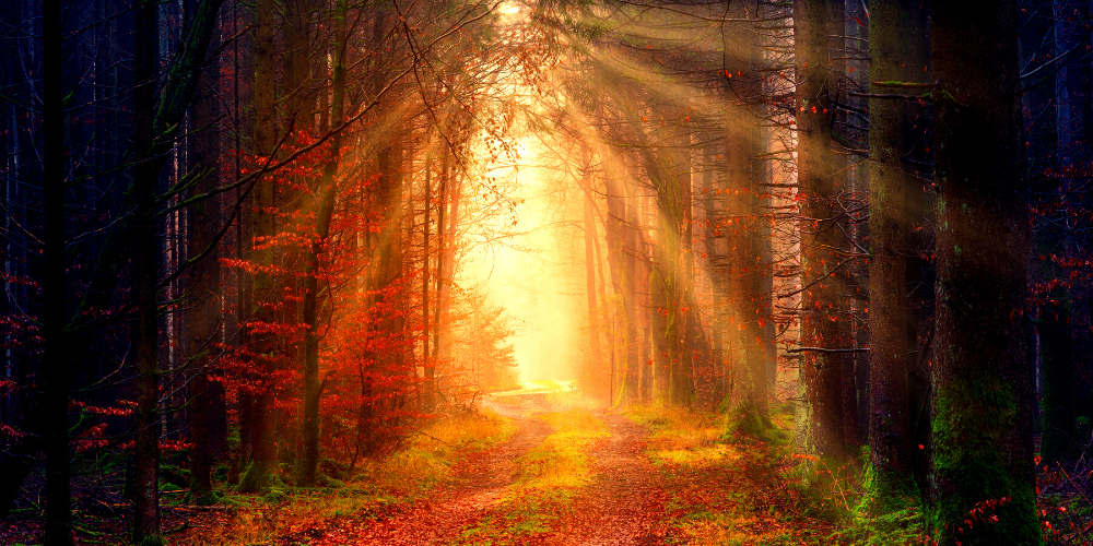 What Are Guardian Angels & the Divine Intervention?